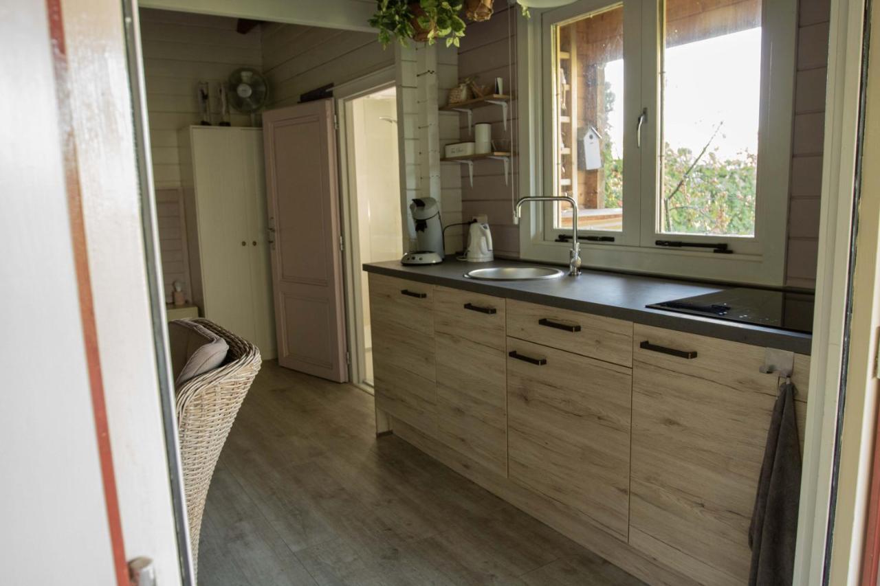 Chalet Ben In Broek Benningbroek Exteriör bild