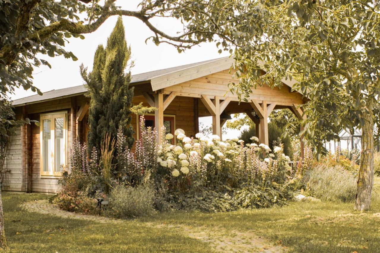 Chalet Ben In Broek Benningbroek Exteriör bild