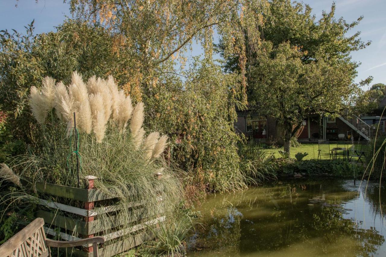 Chalet Ben In Broek Benningbroek Exteriör bild