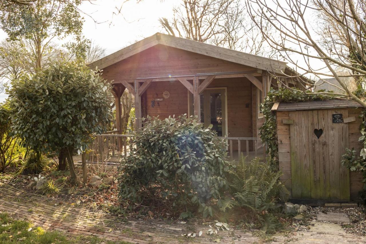 Chalet Ben In Broek Benningbroek Exteriör bild